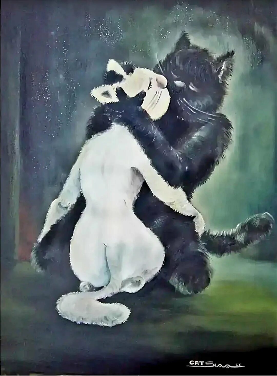 Ктом. Кошки любовь. Влюбленный котик. Влюбленные кошки. Черный и белый котенок обнимаются.