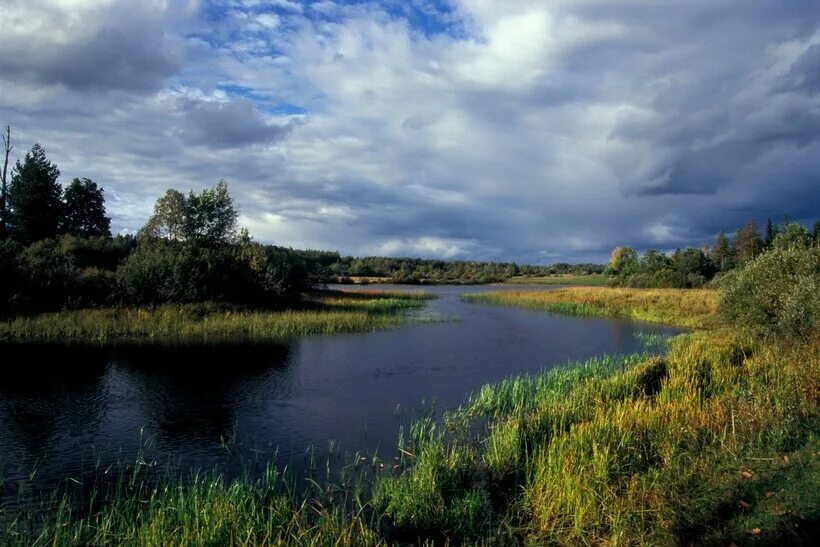 Река Западная Двина в Тверской области. Река Западная Двина Андреаполь. Река зап Двина. Река Даугава Западная Двина.