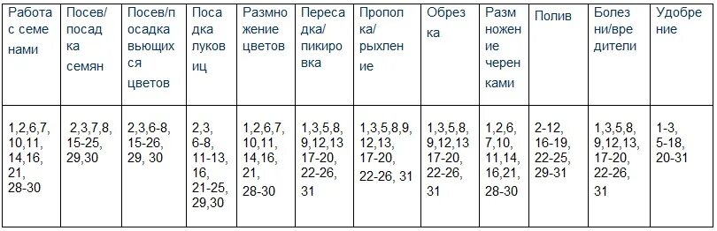 Лунный календарь пересадки комнатных растений апрель 2024г. Лунный календарь комнатных растений на 2021 год. Таблица пересадки комнатных растений. Лунный календарь для комнатных растений и цветов на 2021 год. Лунный календарь посадки комнатных растений на 2021 год.