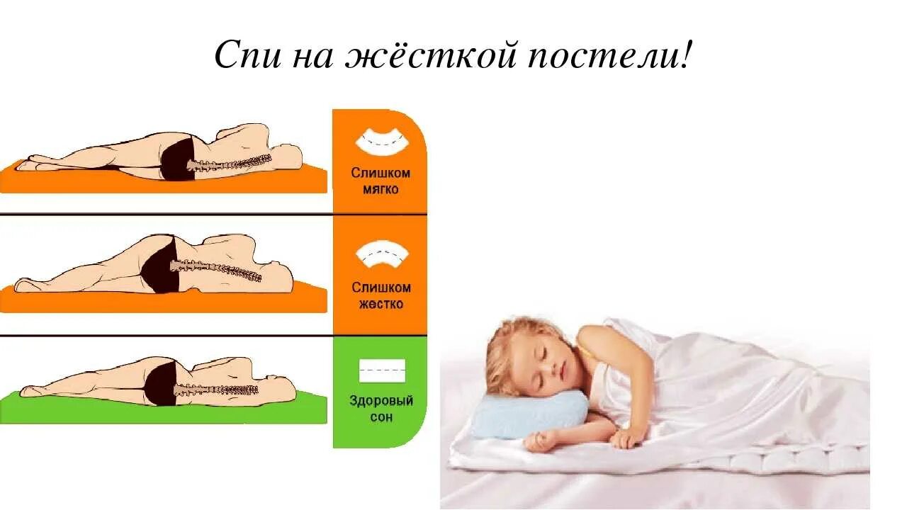 Правильная постель для осанки. Спать на жестком полу. Спать на жестком полу. Позвоночник лежа. Спать на жестком полу.