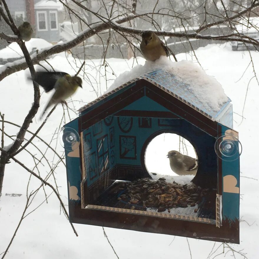 Сделать кормушку из коробок своими руками. Кормушка для птиц из коробки. Кормушка для птиц из коро. Кормушка для птиц BP rfhnjyf. Кормушка для птиц BP rjhj,RB.