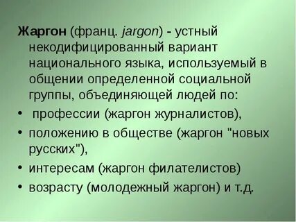 Жаргон это литературный язык
