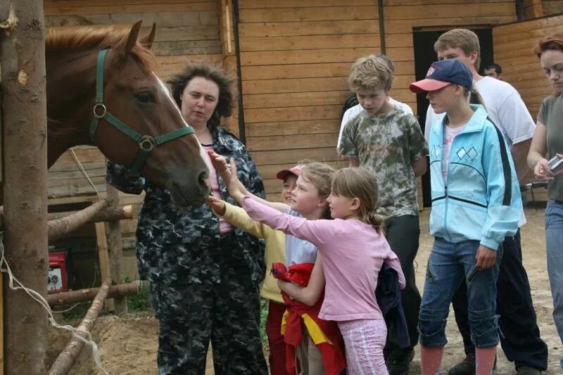 Конюшня Караван Инино. ЦКО Караван Инино. Конный центр Караван. Караван конно-спортивный комплекс.