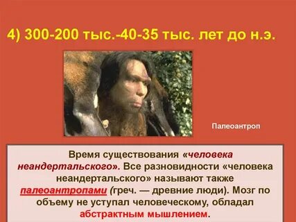 Представители палеоантропов