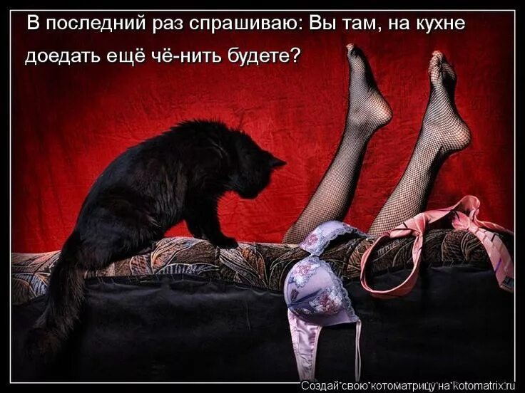 Все от меня что то спрашивают. Как ты там картинки прикольные. как вы там картинки прикольные. последний раз спрашиваю. последний раз спрашиваю будешь любить меня такой.