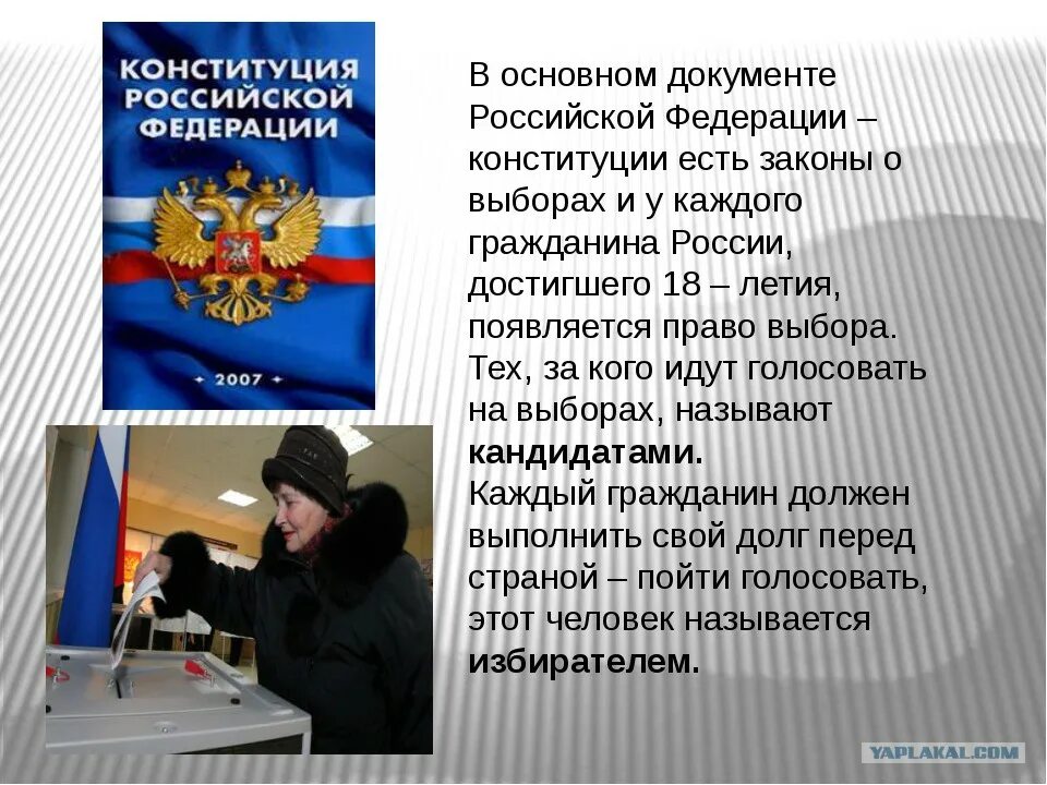 Ответы на вопросы 30 лет конституции. Закон о выборах. Гражданин в Конституции РФ. Конституция выборы. Конституция о выборах.