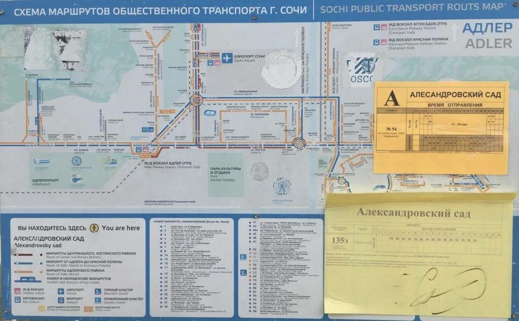 Схема маршруток Адлера. Схема аэропорта Сочи Адлер. Маршруты автобусов аэропорт Сочи Адлер. Маршрут аэропорт Адлер ЖД вокзал Сочи. Как добраться до адлера на автобусе