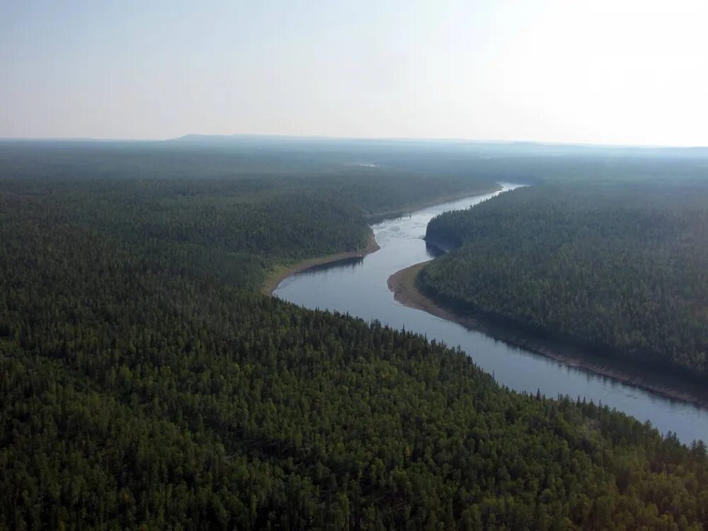 Приток енисея 2. Курейка (река). Река Енисей. Река Курайка фото. Курайка.