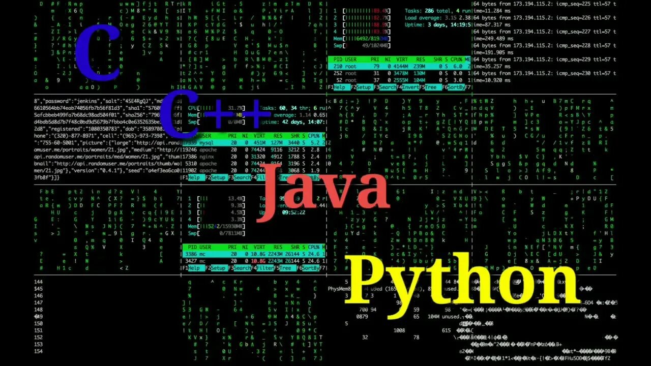 Программист c python. Языки программирования Python java c c++. Питон джава с++. Java Python c++. Языки программирования Python и с++.