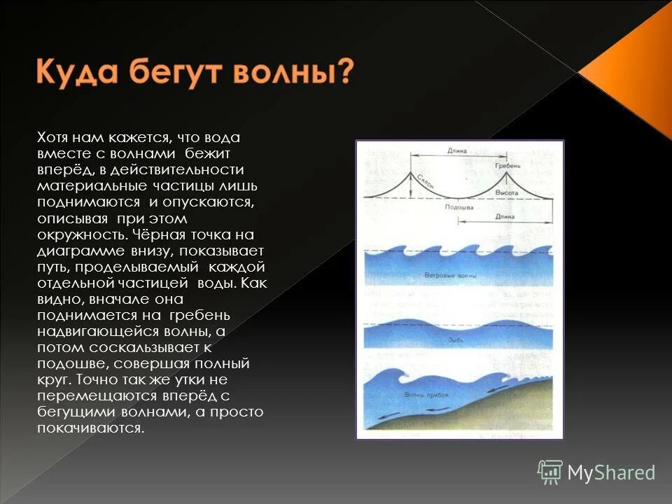 Что такое зыбь. Виды волн. Как образуются ветровые волны. Виды ветровых волн. Сейши волны.