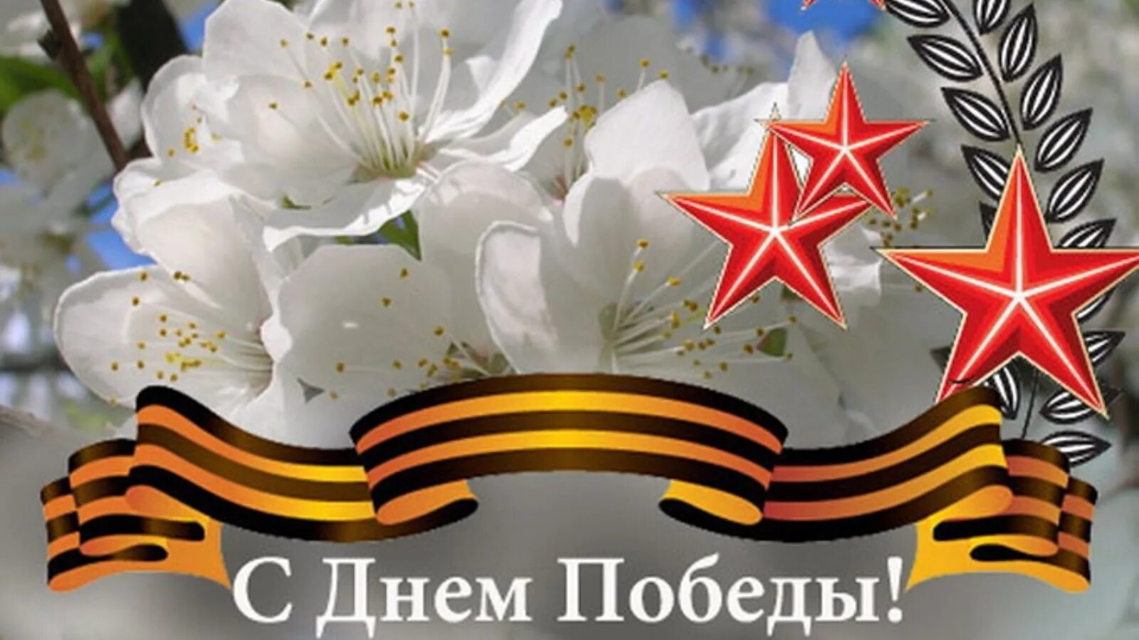 Попурри на военную тематику. 9 мая попурри военных песен. Попурри 9 мая. Попурри на 9 мая. Военное попурри.