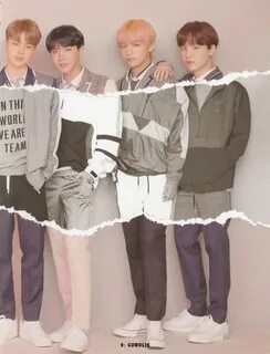 Bts version