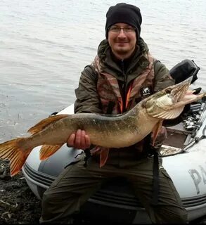 Рыболовы мичуринска