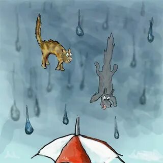 It s cats and dogs