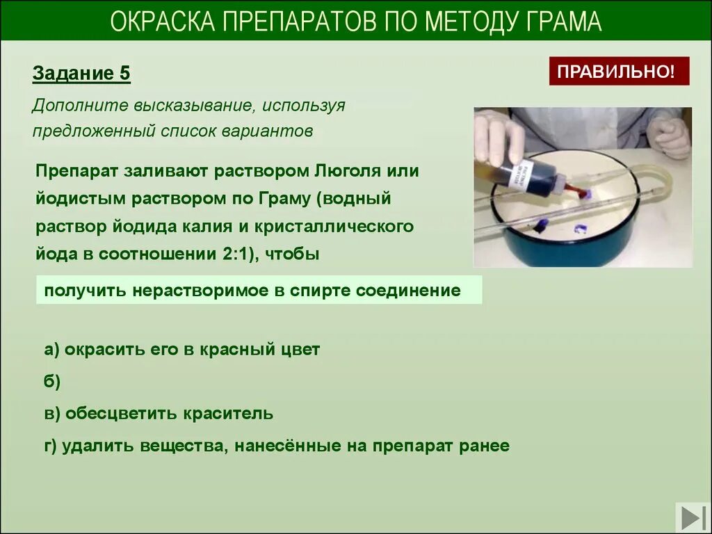 Окрашивание по цилю-нильсену кислотоустойчивых бактерий. Препарат метод. Препарат метод. Препарат метод. Окраска препаратов по граму.