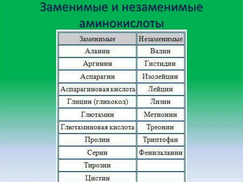 Заменимые полузаменимые незаменимые аминокислоты. Заменимые и незаменимые аминокислоты таблица. Условно заменимые аминокислоты таблица. Классификация аминокислот заменимые и незаменимые. Сколько всего аминокислот