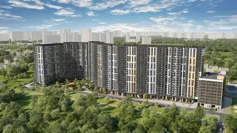 Небо романовская ул 1 31 мурино отзывы