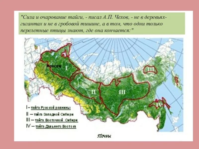 Распространение смешанных лесов