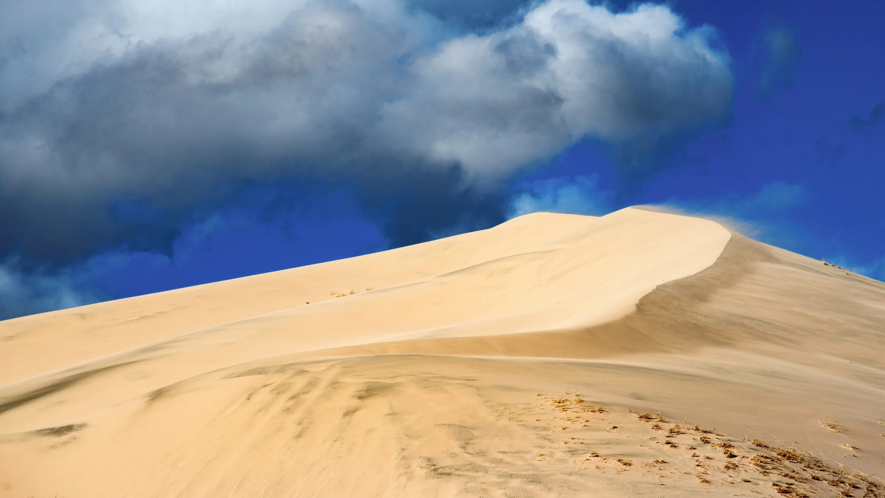 Барханы ханы. Бархан Сарыкум в Дагестане. Пустыня Мохаве Калифорния. Песчаный Бархан в Дагестане. Дюны в Мохаве.