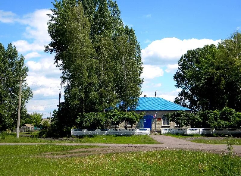 Новокасторное курская область. Погода орехово курская. Купино храм. Олым курская область. Погода орехово курская.