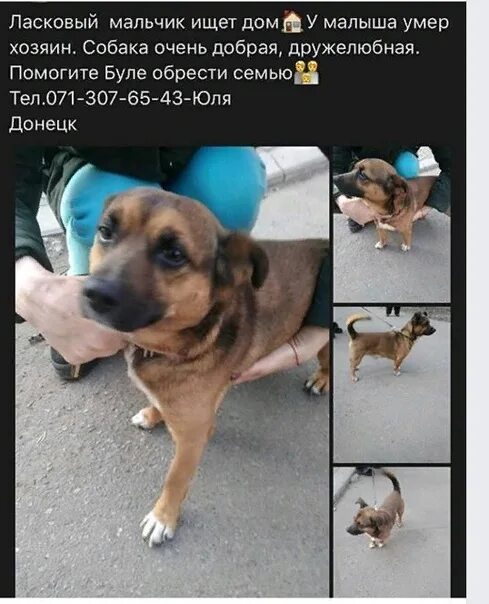 Хозяин ума.