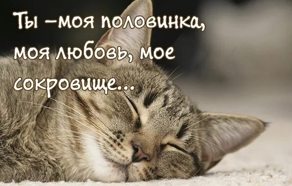 половина моя половиночка. половинка моя половиночка где то ходит. моя вторая половинка картинки. где ты стихи. половинка моя половиночка где то ходит.