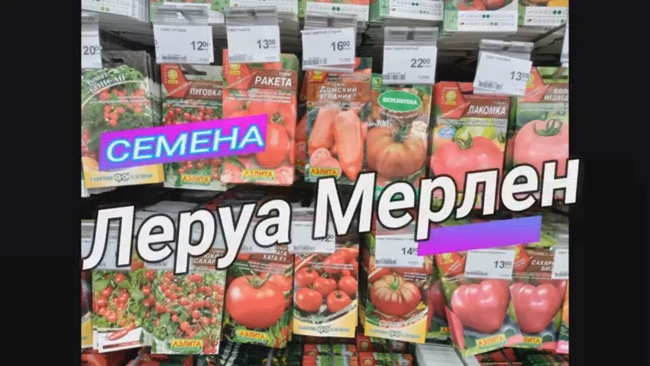 Леруа мерлен семена томатов. Семена в Леруа Мерлен. Семена помидор Леруа Мерлен. Семена цветов Леруа Мерлен Казань. Семена цветов в Леруа Мерлен каталог.