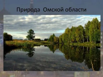 Омская область 3 класс