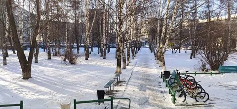 Сибиряк кемерово отзывы