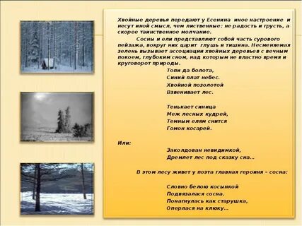 Есенин деревья