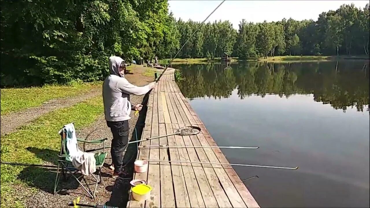 Клёвое место Лосиный остров. Платная рыбалка. Рыбалка на пруду. Ловля осетра.