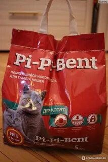 Котенок ест наполнитель