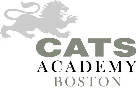 Cat academy