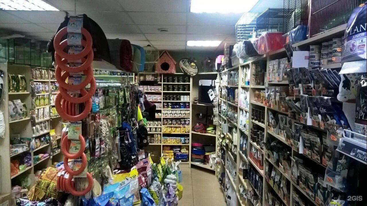 сколько зоомагазинов