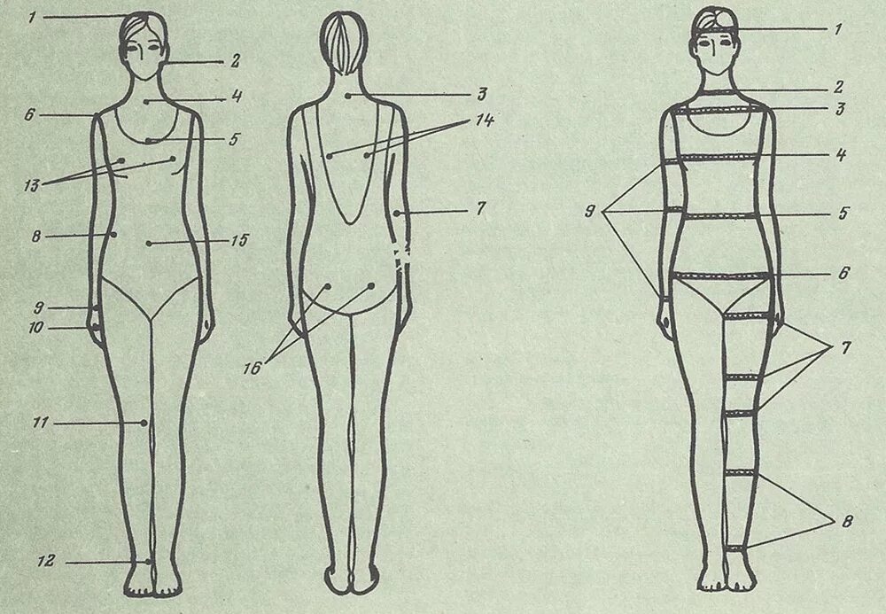 Точка спереди. Антропометрические точки тела человека. Антропометрические точки фигуры человека для снятия мерок. Основные антропометрические точки тела человека в конструировании. Антропометрические пропорции тела человека.
