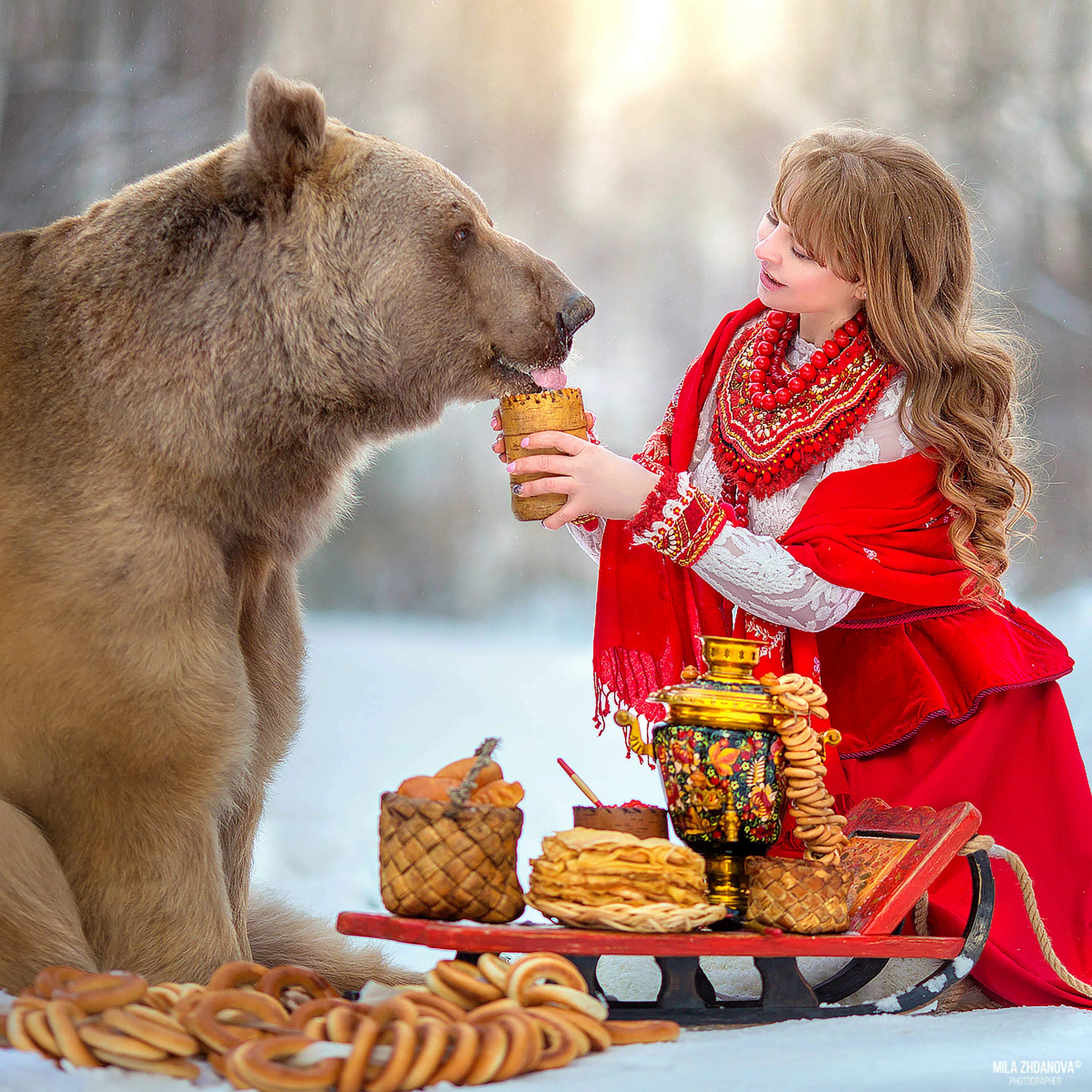 Медведь Россия. Русский мишка.