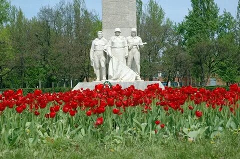Цветы каменск шахтинский
