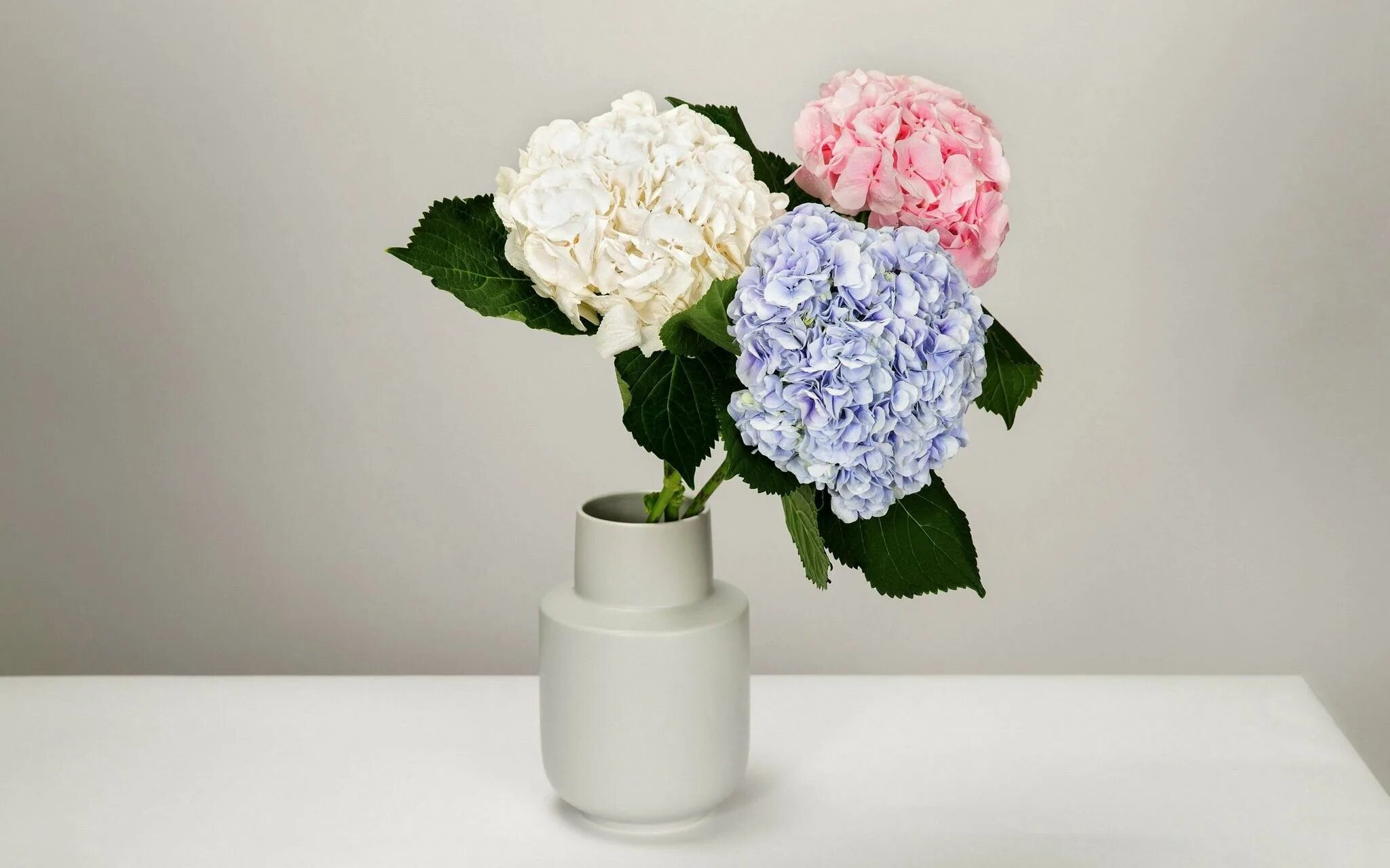 Blue Hydrangea in Glass 17" Hydrangea arrangements, Blue hydrangea flowers, Hydr