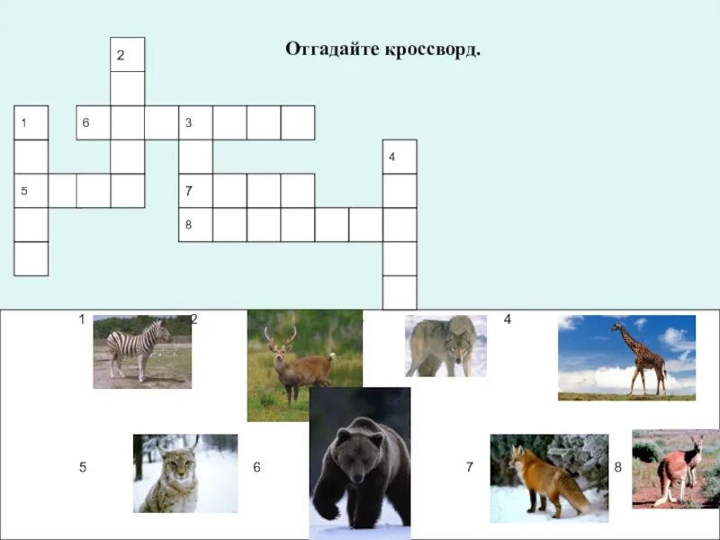 Кроссворд про животных. Кроссворд на тему животные. Кроссворд по теме животные. Кроссворд для детей с ответами про животных. Рысь кроссворд