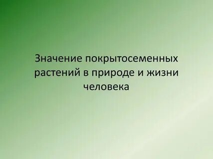 Роль цветковых растений в жизни