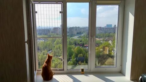 Антикошка на пластиковые окна москва