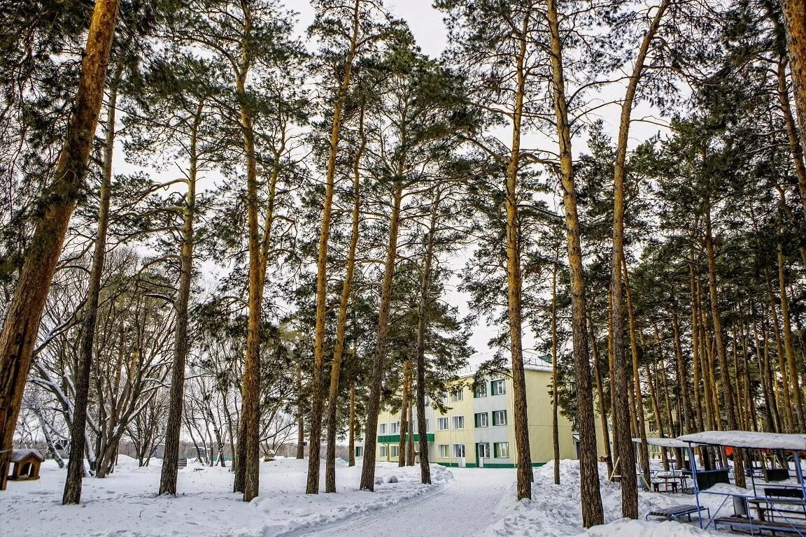 База отдыха сказка омск цены 2024. Чернолучье Покрышкино Омск. База Покрышкина Омск. Покрышкина база отдыха Чернолучье Омск. Чернолучье Сосновый Бор.