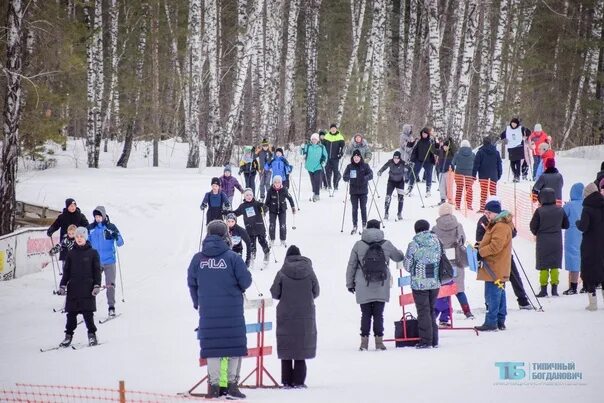 Березка богданович. Спорт база берёзка богданович. лыжня 2025.