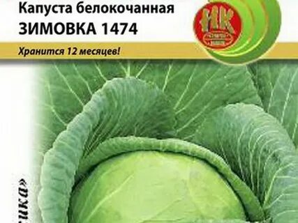 Капуста сорт парадокс