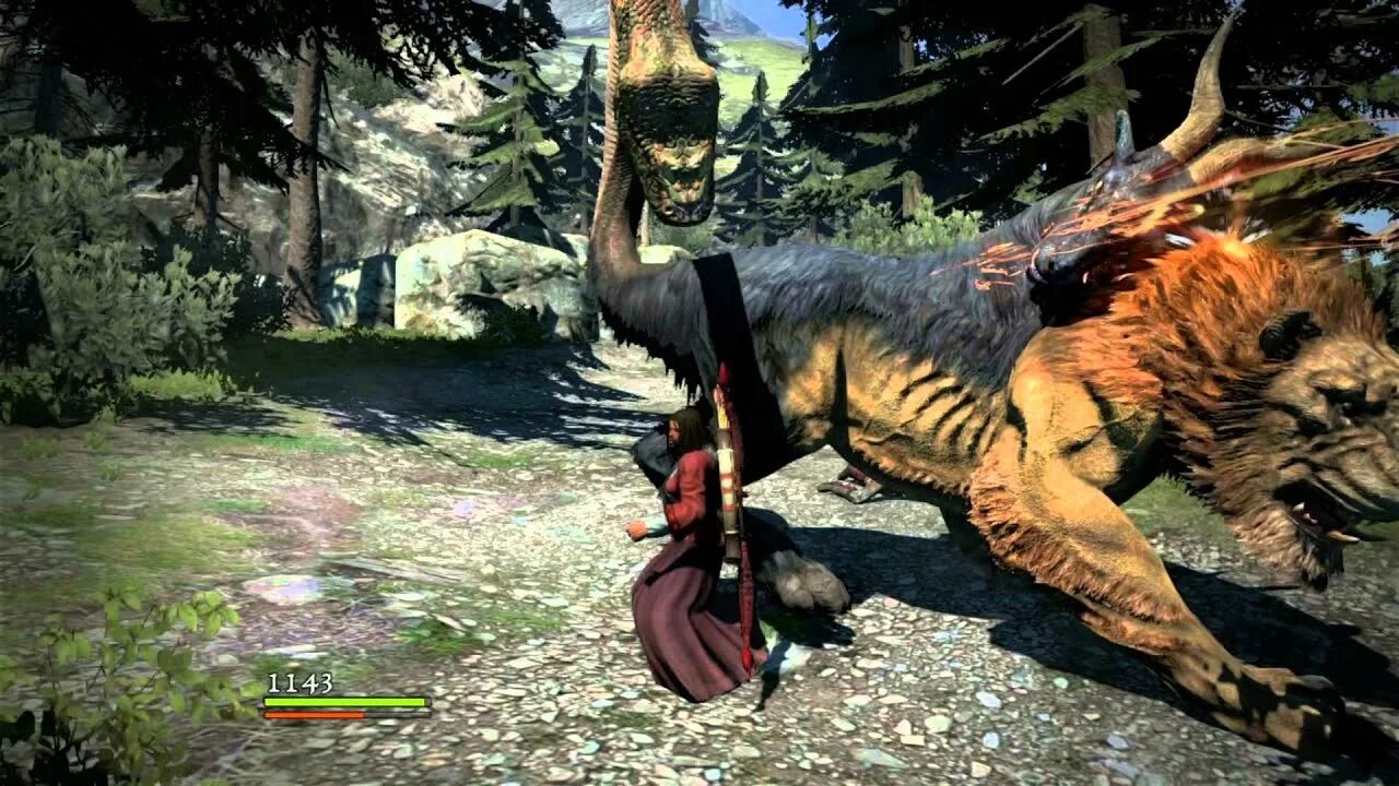 Dragon's Dogma. PC vs. Dragons dogma pc