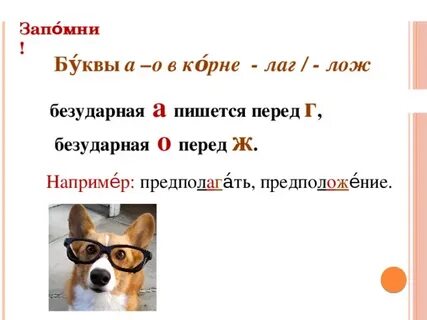 Буква о в корнях лаг
