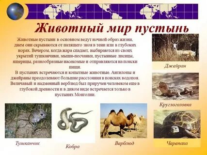 Пересказ по окружающему миру 4 класс пустыня