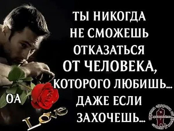 Я тебя люблю и никогда не разлюблю. Стих я тебя разлюблю и забуду. Стихотворение я тебя разлюбила. Я тебя разлюбила цитаты. Стихотворение я тебя разлюбила.