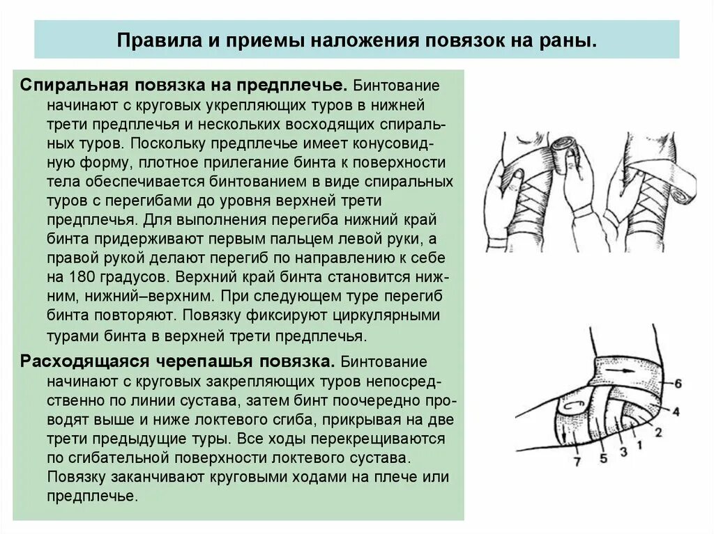 Помощь при перевязке. Порядок наложения повязок на раны. Правила и приемы наложения повязок на раны. Наложение повязки на предплечье.