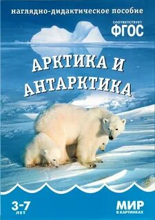 Арктика это континент
